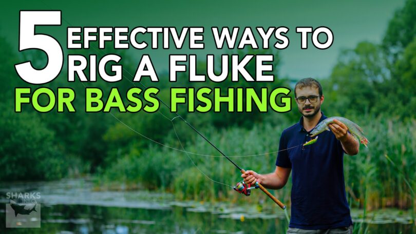 5 Effective Ways To Rig A Fluke For Bass Fishing