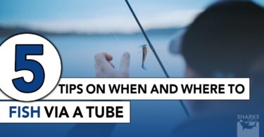 5 Tips on When and Where to Fish a Tube