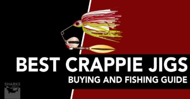 Best Crappie Jigs - Buying And Fishing Guide