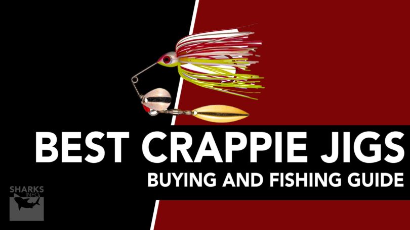 Best Crappie Jigs - Buying And Fishing Guide