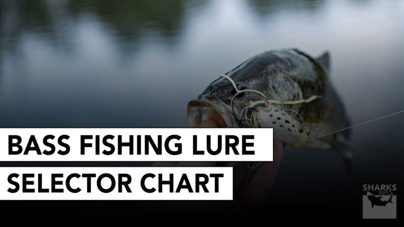 Bass Fishing Lure Selector Chart