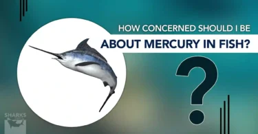 How Concerned Should I be About Mercury in Fish