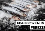 How Long Can you Keep Fish Frozen in a Freezer