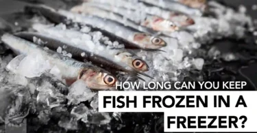 How Long Can you Keep Fish Frozen in a Freezer