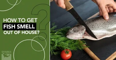 How to Get Fish Smell Out of House