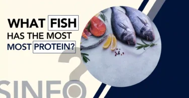 What Fish has the Most Protein