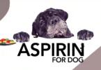 How Much Aspirin For Dog Weigh