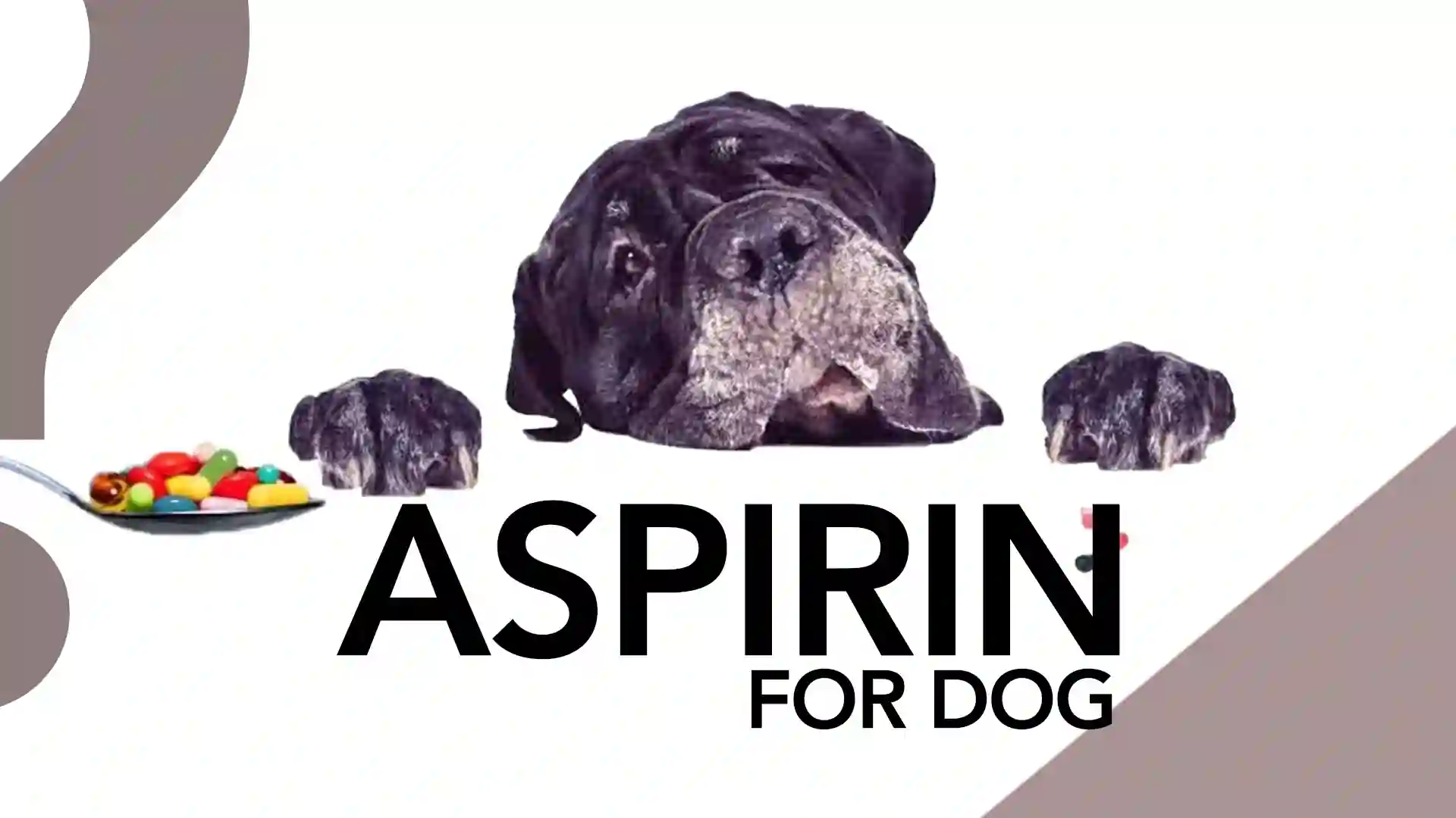 How Much Aspirin For Dog By Weight?