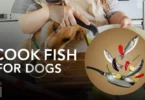 How To Cook Fish For Dogs