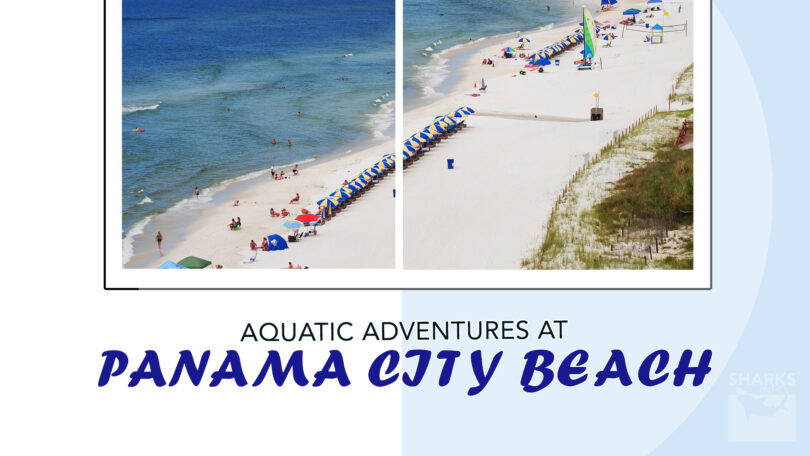 Aquatic Adventures at Panama City Beach