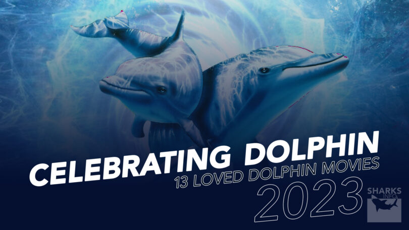 Celebrating Dolphins 13 Most Loved Dolphin Movies of 2023