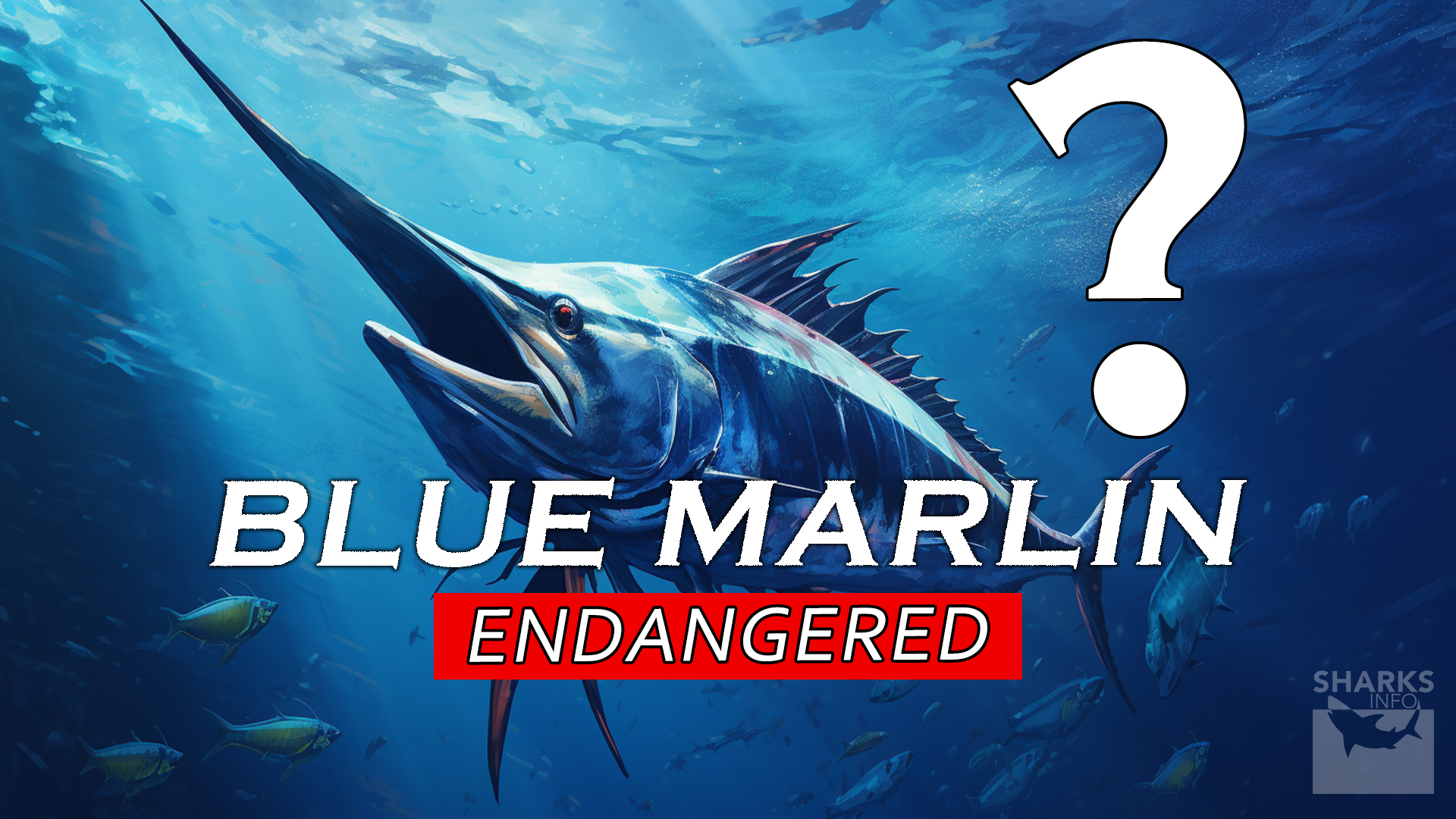 Are Blue Marlins Endangered? – sharksinfo.com