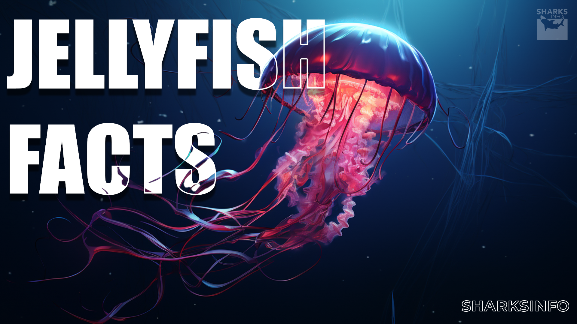 Box Jellyfish Facts You Must Know