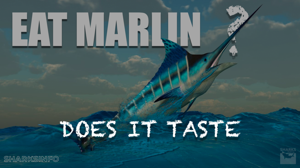 Can You Eat Marlin and How Does it Taste? – sharksinfo.com