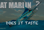 Can You Eat Marlin and How Does it Taste