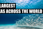 The 5 Largest Seas across the World