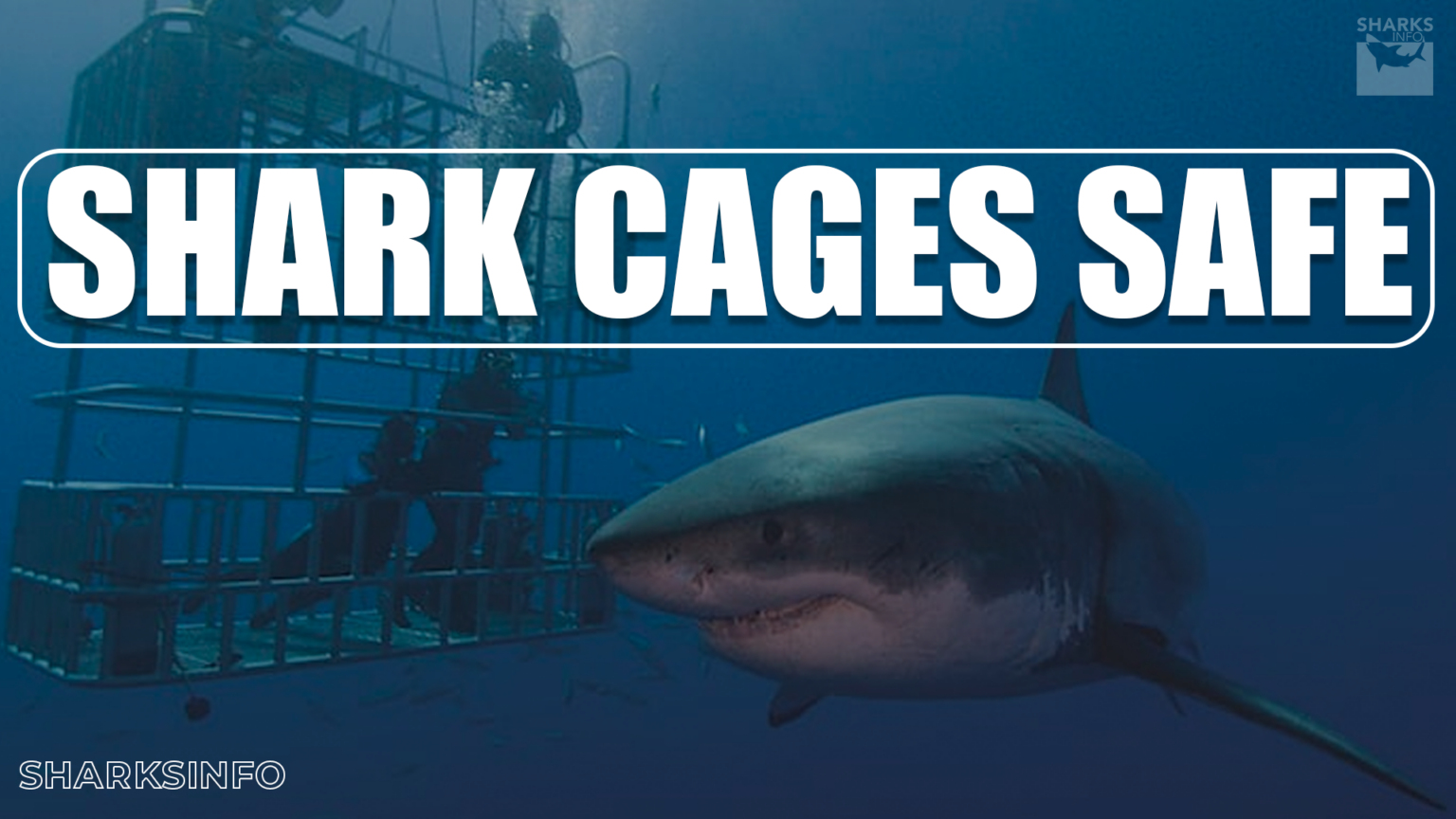 Are Shark Cages Safe?