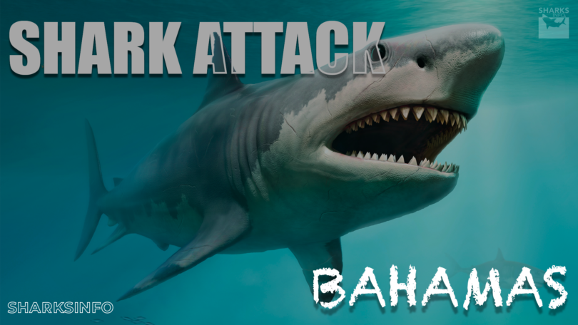 what caused shark attack in bahamas